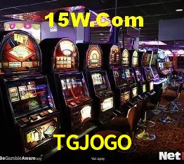 Experiência VIP TGJOGO